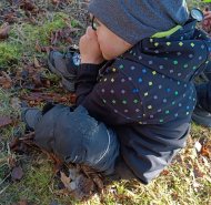 img-20260302-wa0011