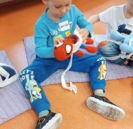 Zachraň kamaráda - Žabičky a Berušky 