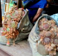 20260506_112619
