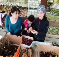 img_20231024_175217